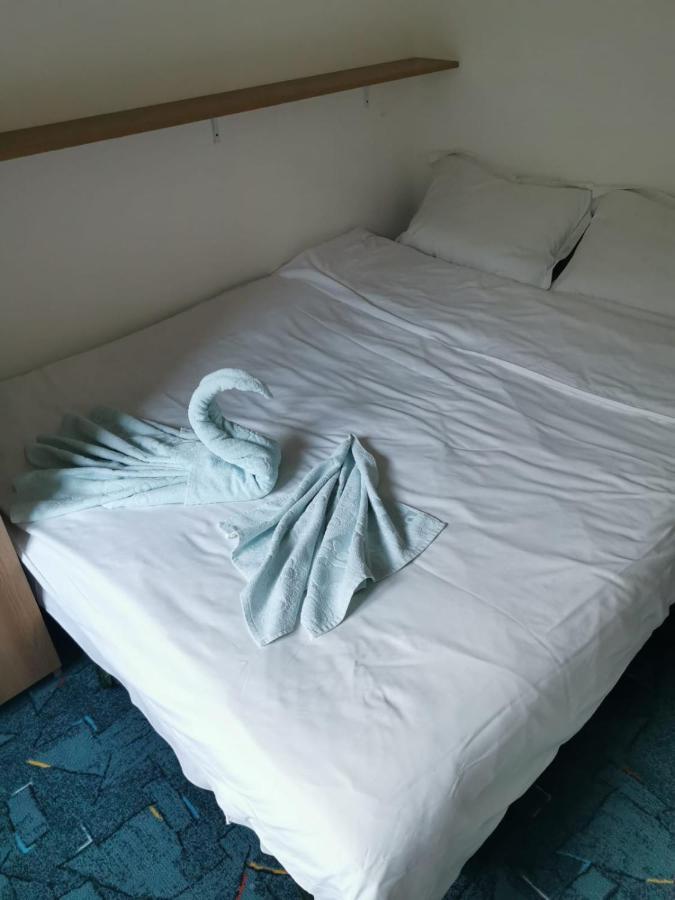 Apartament Langa Castan Apartment Azuga Ngoại thất bức ảnh