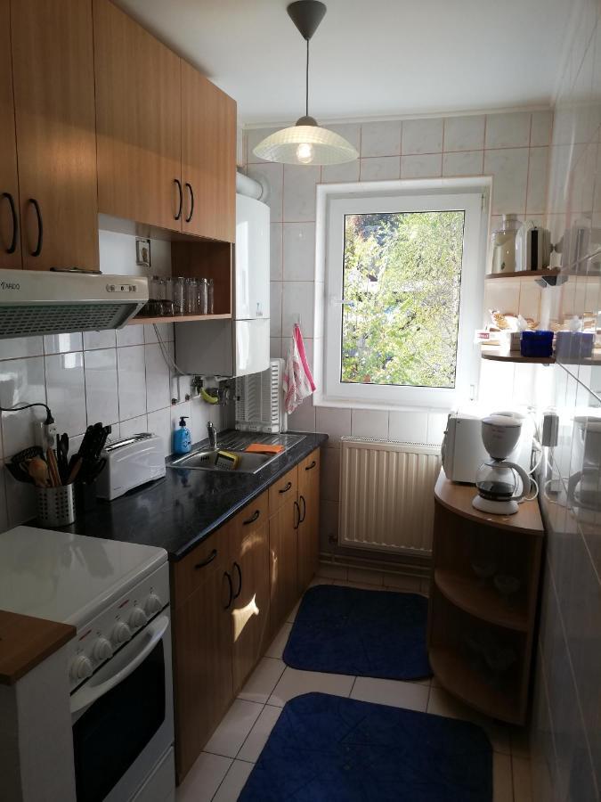 Apartament Langa Castan Apartment Azuga Ngoại thất bức ảnh